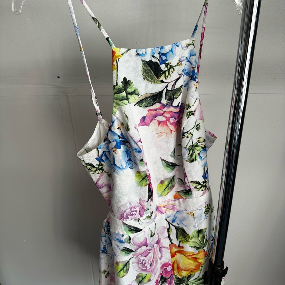 Show Me Your MuMu Pink and Blue Floral Dress